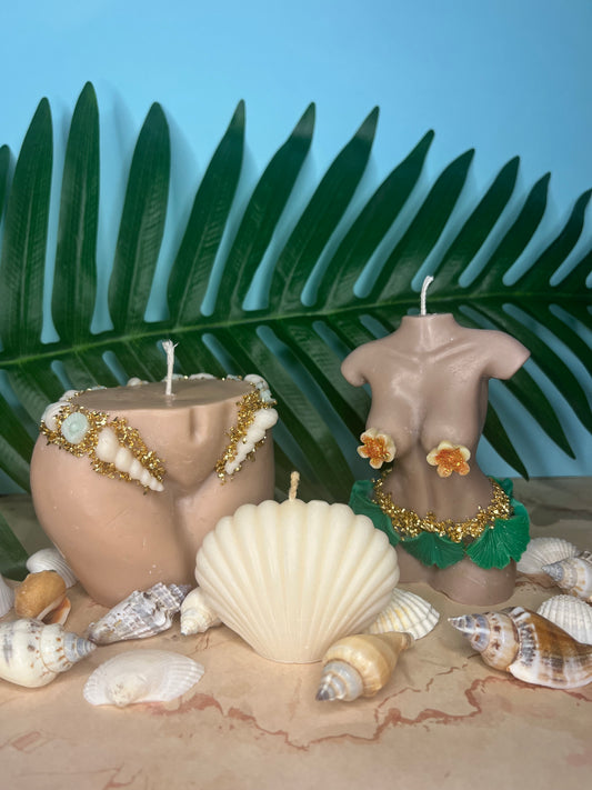 Coffret tropical vibes 🐚🌺
